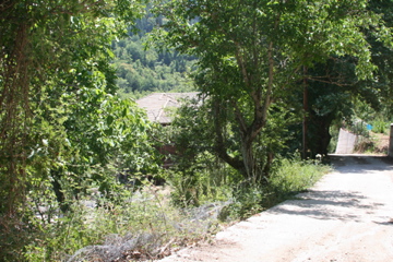 The approach