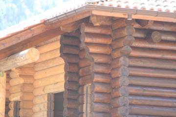 Close up