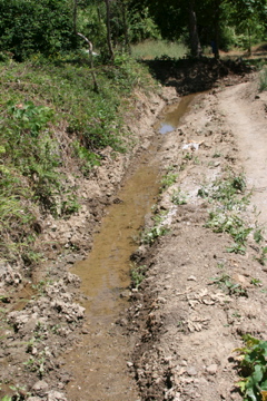The stream