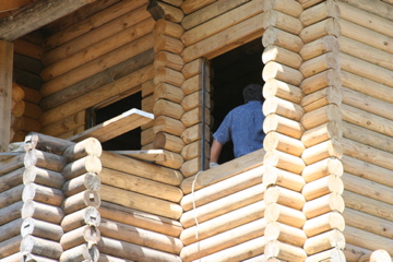 Closer, looking up