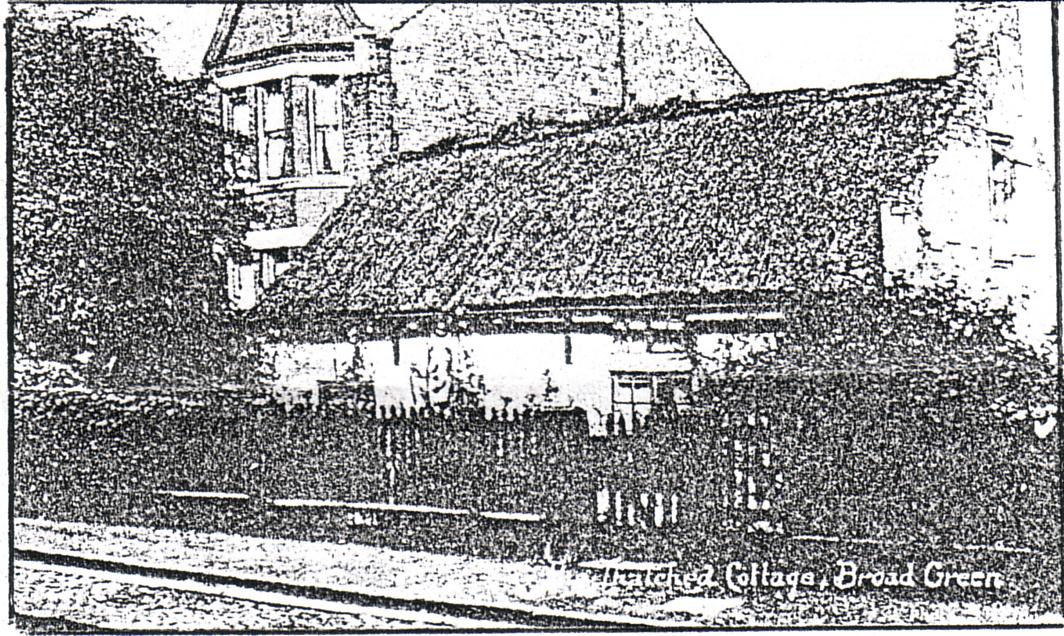 pen drawing of the thatched cottage in Broad Green