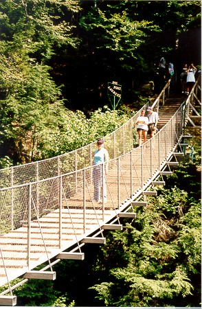 This should be the vibrating bridge